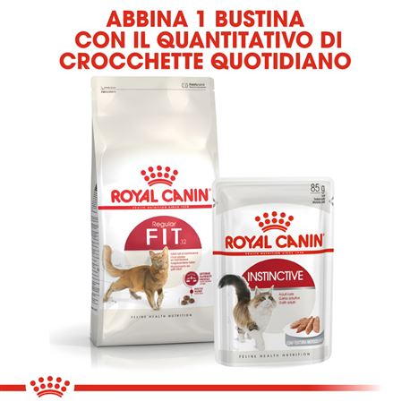 ROYAL CANIN Regular Fit 32 - Crocchette per gatti - 4kg 3