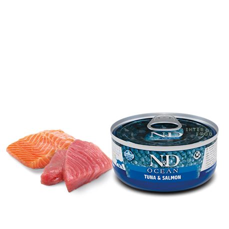 FARMINA N&D OCEAN - TUNA & SALMON - 70gr 1