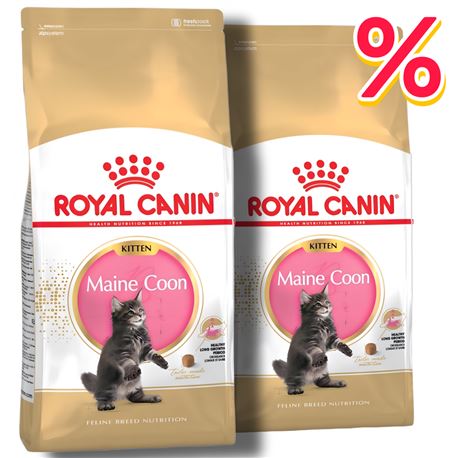 ROYAL CANIN Maine Coon Kitten - 2x2kg 1