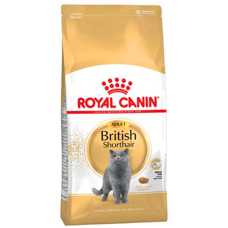 ROYAL CANIN British Shorthair Adult - Cibo secco per gatti - 4kg 1