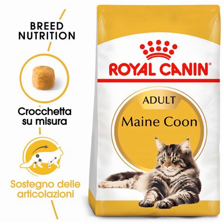 ROYAL CANIN Maine Coon Adult - Crocchette per gatti - 2kg 2