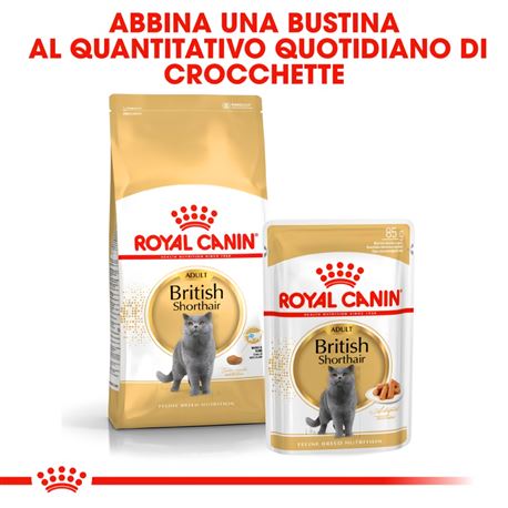 ROYAL CANIN British Shorthair Adult - Cibo secco per gatti - 400g 3