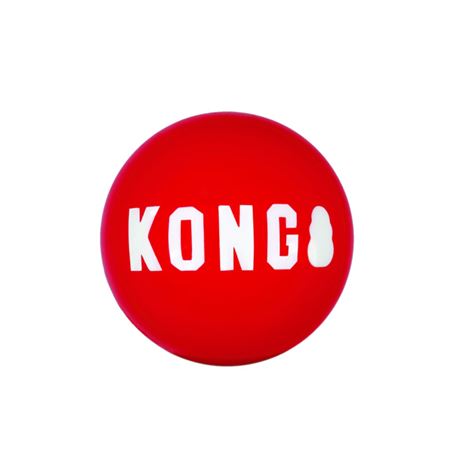 KONG Signature Ball - Small