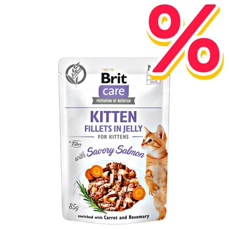 Brit Care Cat Pouch Kitten Savory Salmon - Jelly - 24x85g