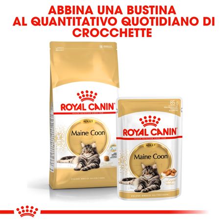 ROYAL CANIN Maine Coon Adult - Crocchette per gatti - 400g 3