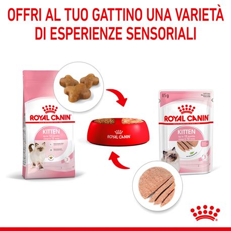 ROYAL CANIN Kitten in Mousse - Alimento umido per gatti - 12 x 85g 3