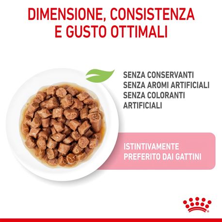 ROYAL CANIN Kitten Gravy - Alimento umido per gatti - 4 x (12 x 85g) 3