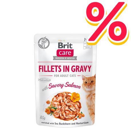 Brit Care Cat Pouch Savory Salmon - Gravy - 24x85g