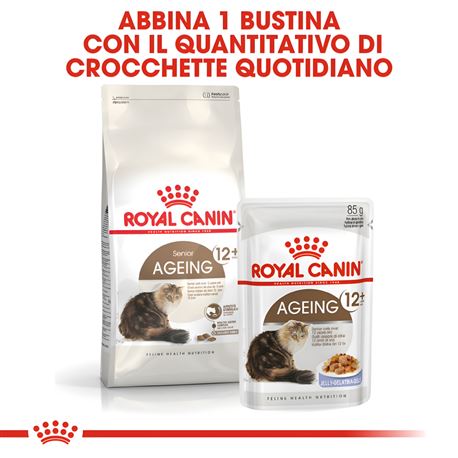 ROYAL CANIN Cat Ageing Sterilised 12+ - Crocchette per gatti sterilizzati - 2kg 3