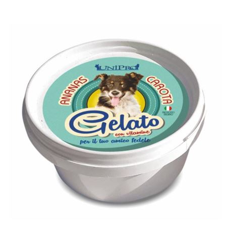 UniPro gelato per cani - Ananas e Carota - 60g