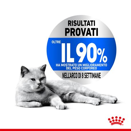 ROYAL CANIN Light Weight Care Jelly - Alimento umido per gatti - 12 x 85g 2