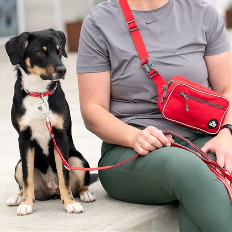 DOG Copenhagen Marsupio con cintura Go Explore Belt Bag - Rosso 3