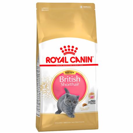 ROYAL CANIN British Shorthair Kitten - 400g