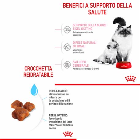 Royal Canin Mother & Babycat - crocchette per gatti - 4kg 2