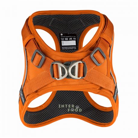 DOG Copenhagen - Imbracatura Comfort Walk Go - XS - Arancione 2