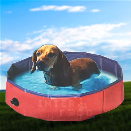 Piscina per cani - 120 x h 30 cm 2