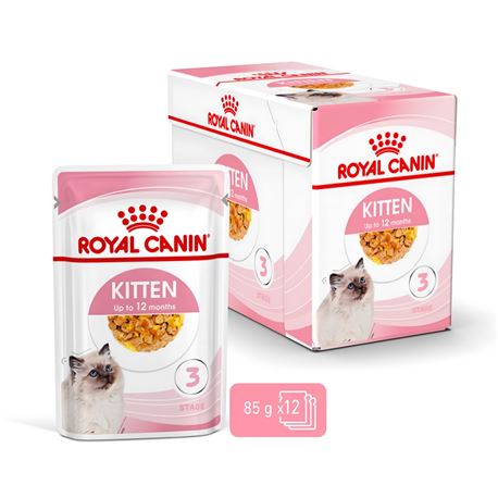 ROYAL CANIN Kitten Jelly - Alimento umido per gatti - 4 x (12 x 85g) 2