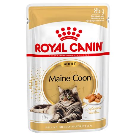 ROYAL CANIN Maine Coon Gravy - Alimento umido per gatti - 12 x 85g