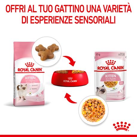 ROYAL CANIN Kitten Jelly - Alimento umido per gatti - 4 x (12 x 85g) 3