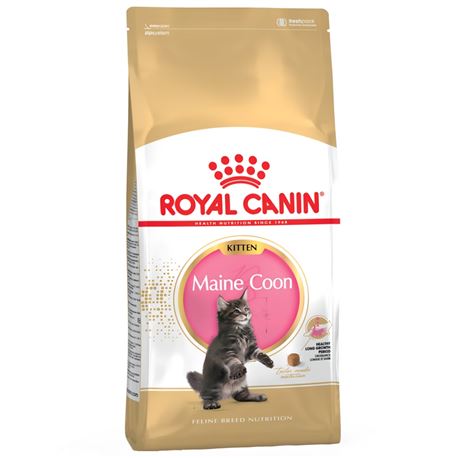 ROYAL CANIN Maine Coon Kitten - 2kg 1