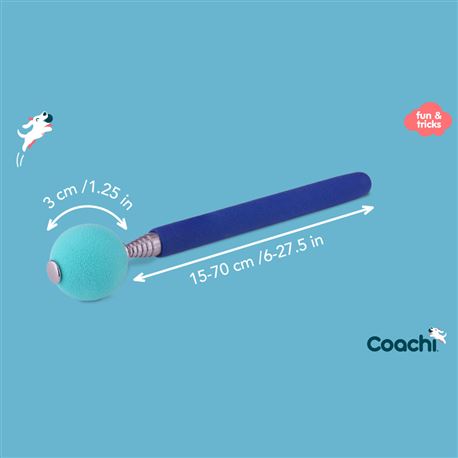 Dog Training Target Stick 2