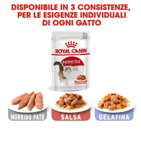 ROYAL CANIN Instinctive Jelly - Cibo umido per gatti - 4 x (12 x 85g) 3