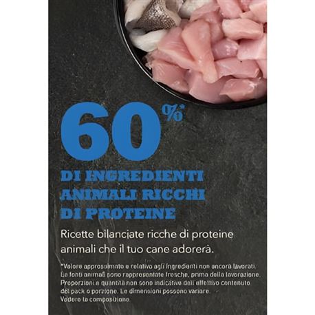 ACANA ADULT RECEPIE - 11,4 kg 2