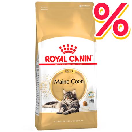 ROYAL CANIN Maine Coon Adult - Crocchette per gatti - 10kg