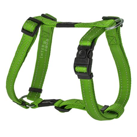 Pettorina per cani - Rogz Utility verde - L 1