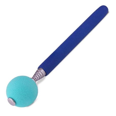 Dog Training Target Stick