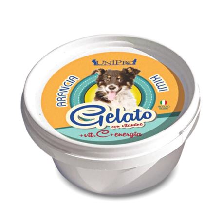 UniPro gelato per cani - Arancia e Kiwi - 60g