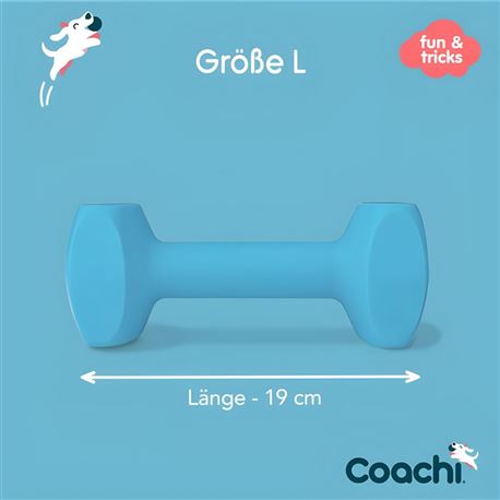 Coachi Training Dumbbell - L 2