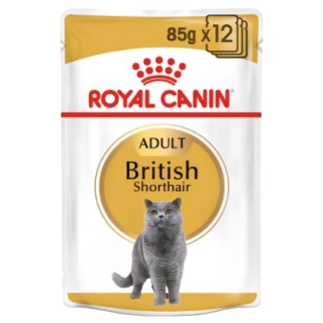 ROYAL CANIN British Shorthair Care Gravy - Alimento umido per gatti - 12 x 85g