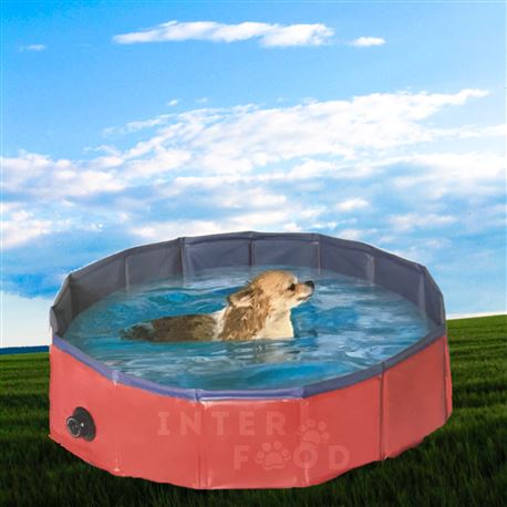 Piscina per cani - 80 x h 20 cm 2