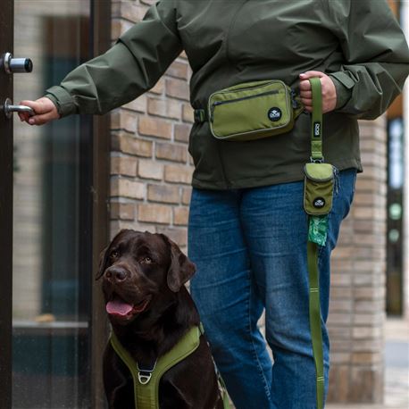 DOG Copenhagen Marsupio con cintura Go Explore Belt Bag - Verde 3