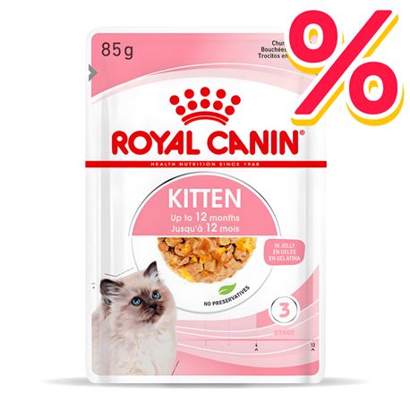 ROYAL CANIN Kitten Jelly - Alimento umido per gatti - 4 x (12 x 85g)