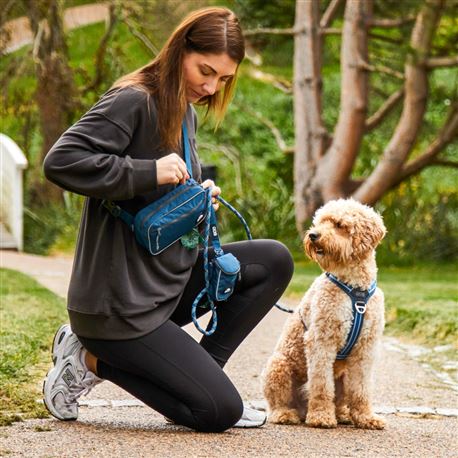 DOG Copenhagen Marsupio con cintura Go Explore Belt Bag - Blu 3