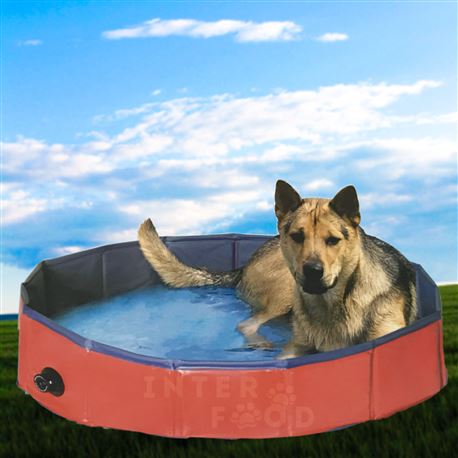 Piscina per cani - 160 x h 30 cm 2