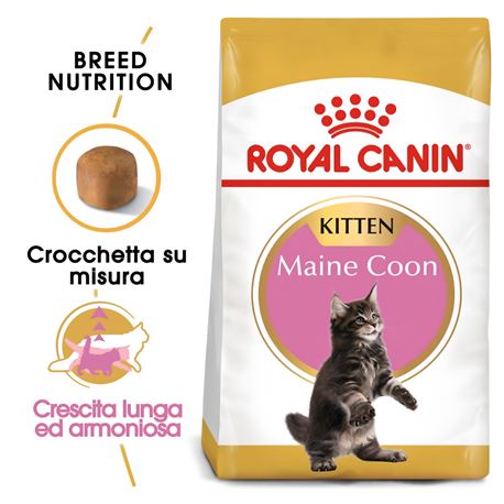 ROYAL CANIN Maine Coon Kitten - 400g 2