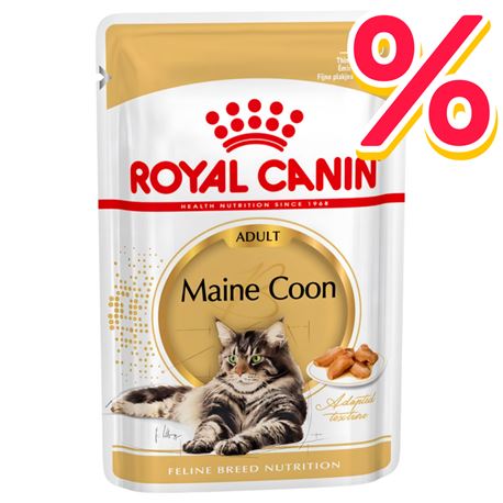 ROYAL CANIN Maine Coon Gravy - Alimento umido per gatti - 4 x (12 x 85g)