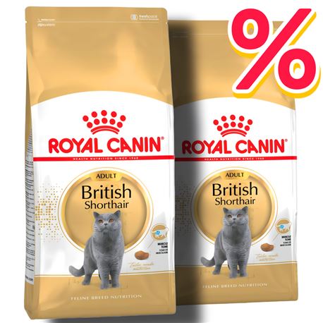 ROYAL CANIN British Shorthair Adult - Cibo secco per gatti - 2x2kg