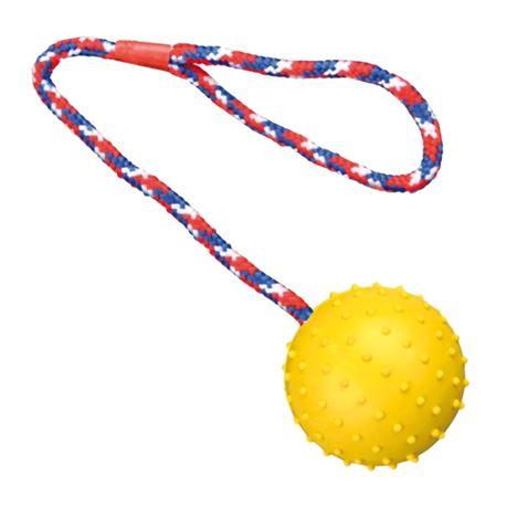 Palla con corda - gioco per cani - 7cm 3