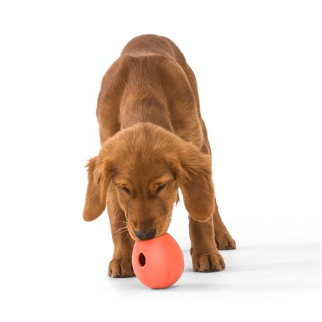 WestPaw Rumbl Small Arancio - gioco per cani 2