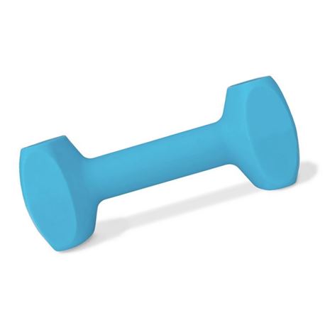 Coachi Training Dumbbell - L 1