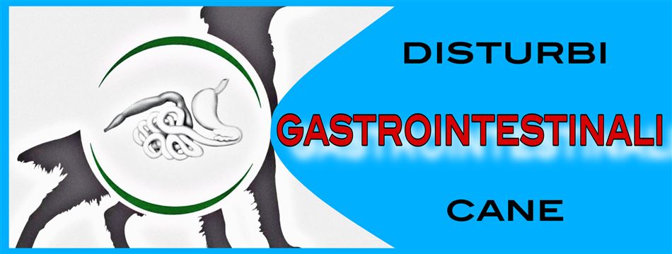 PROBLEMI GASTROINTESTINALI