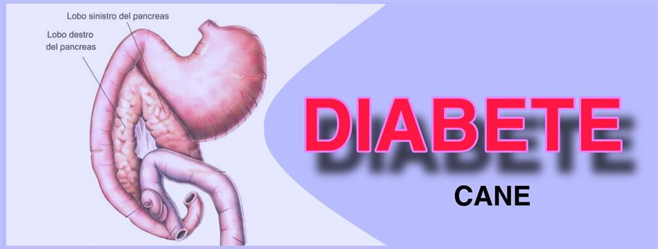 DIABETE