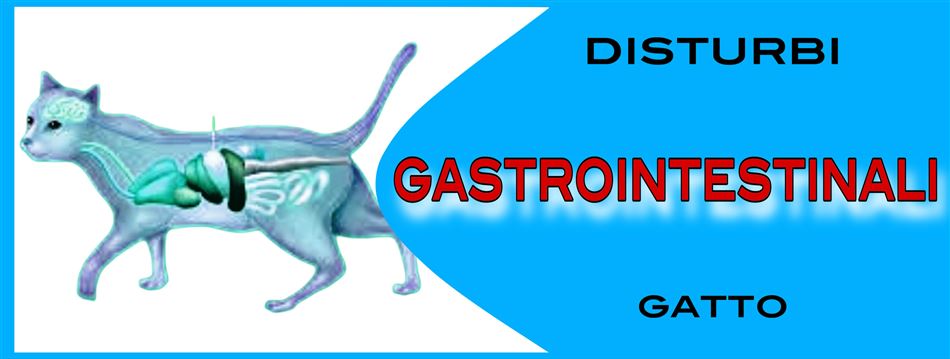 PROBLEMI GASTROINTESTINALI