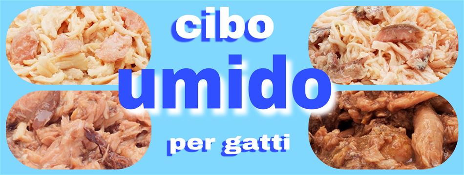 CIBO UMIDO per gatti