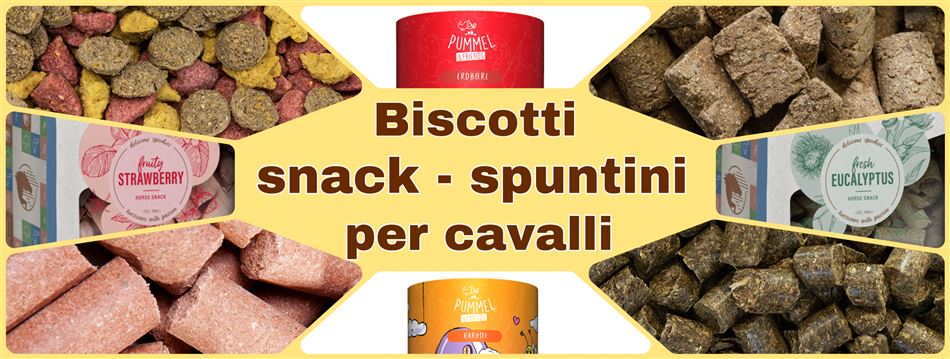 BISCOTTI - SNACK e SPUNTINI per cavalli