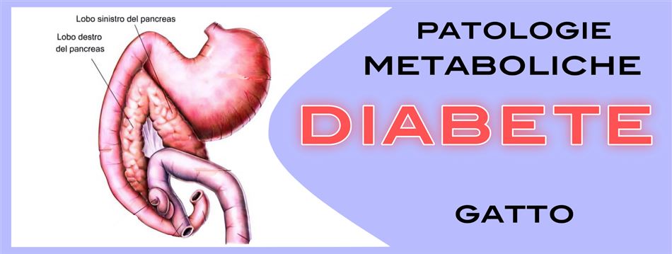 DIABETE